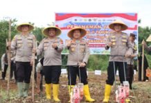 KAPOLRES PIMPIN TANAM JAGUNG KUARTAL II TAHUN 2026, POLRES BENGKULU UTARA DUKUNG KETAHANAN PANGAN