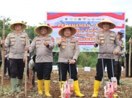 KAPOLRES PIMPIN TANAM JAGUNG KUARTAL II TAHUN 2026, POLRES BENGKULU UTARA DUKUNG KETAHANAN PANGAN